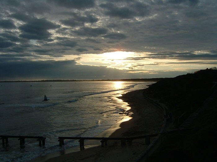 14 Penguin Island.jpg